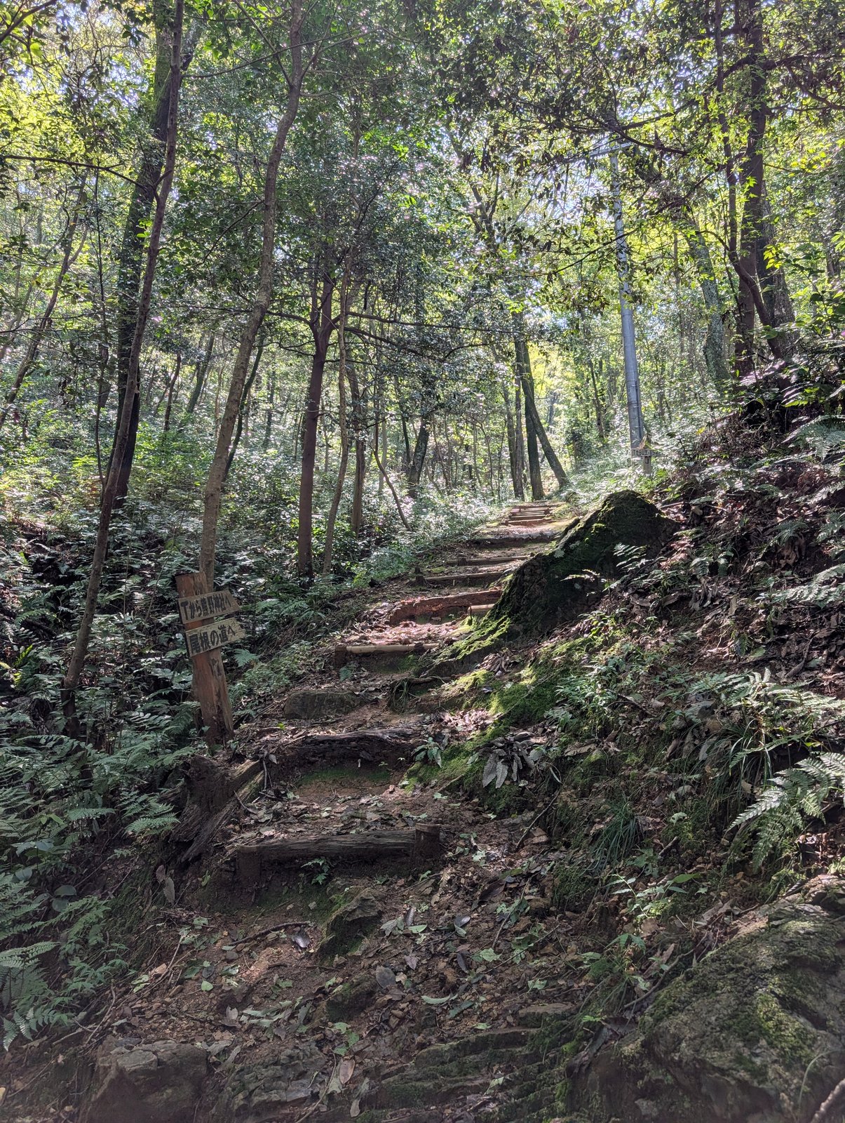 登山道に刺さった手書きの木製道標（2026年9月撮影）
