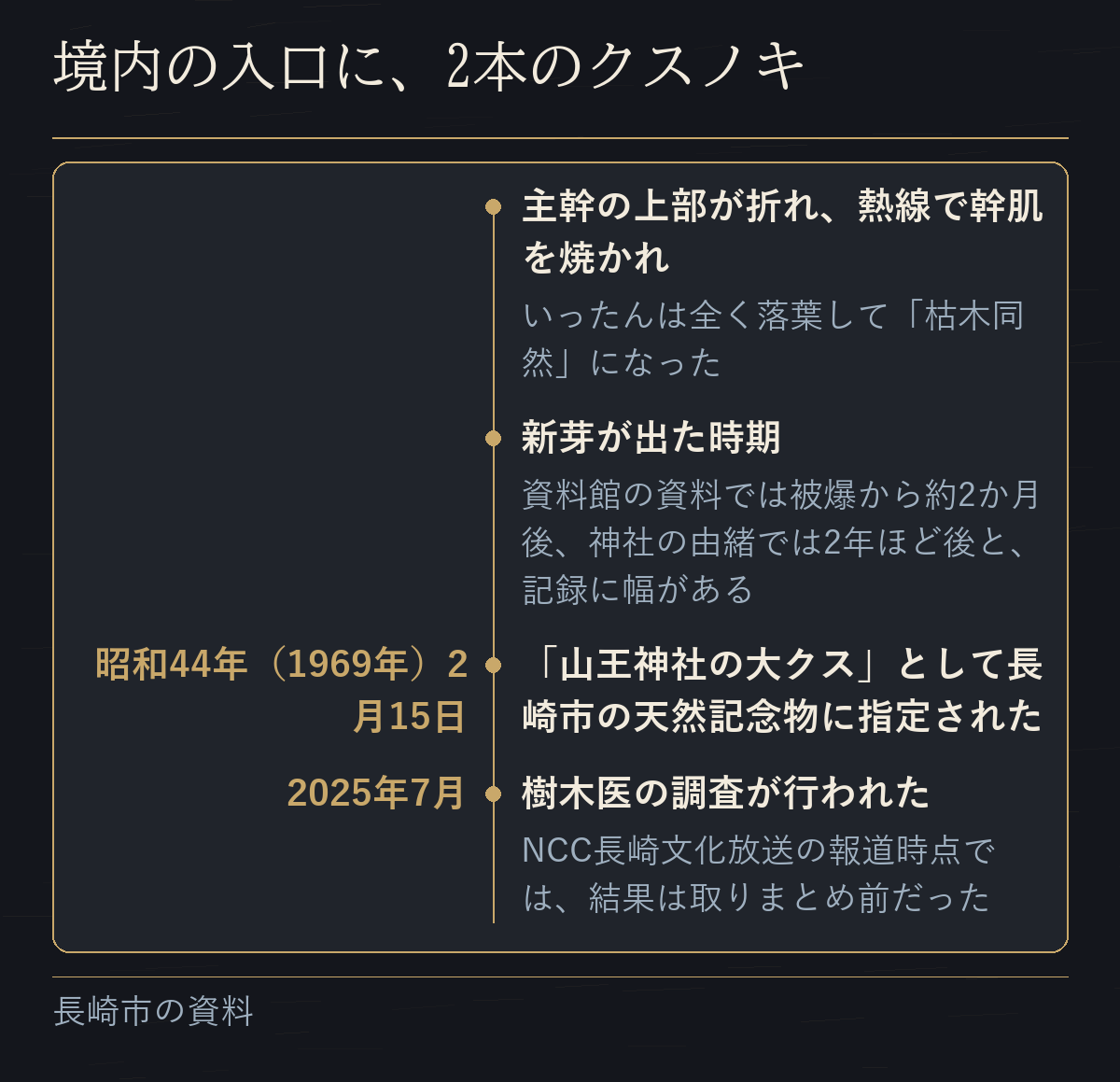 境内の入口のクスノキが被爆してから、長崎市の天然記念物に指定され、2025年7月に樹木医の調査が行われるまでの年表