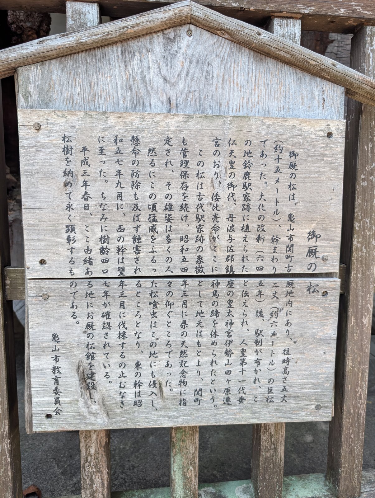木製の古い説明板「御厩の松」。亀山市教育委員会・平成3年。樹齢は「四〇七年」とある
