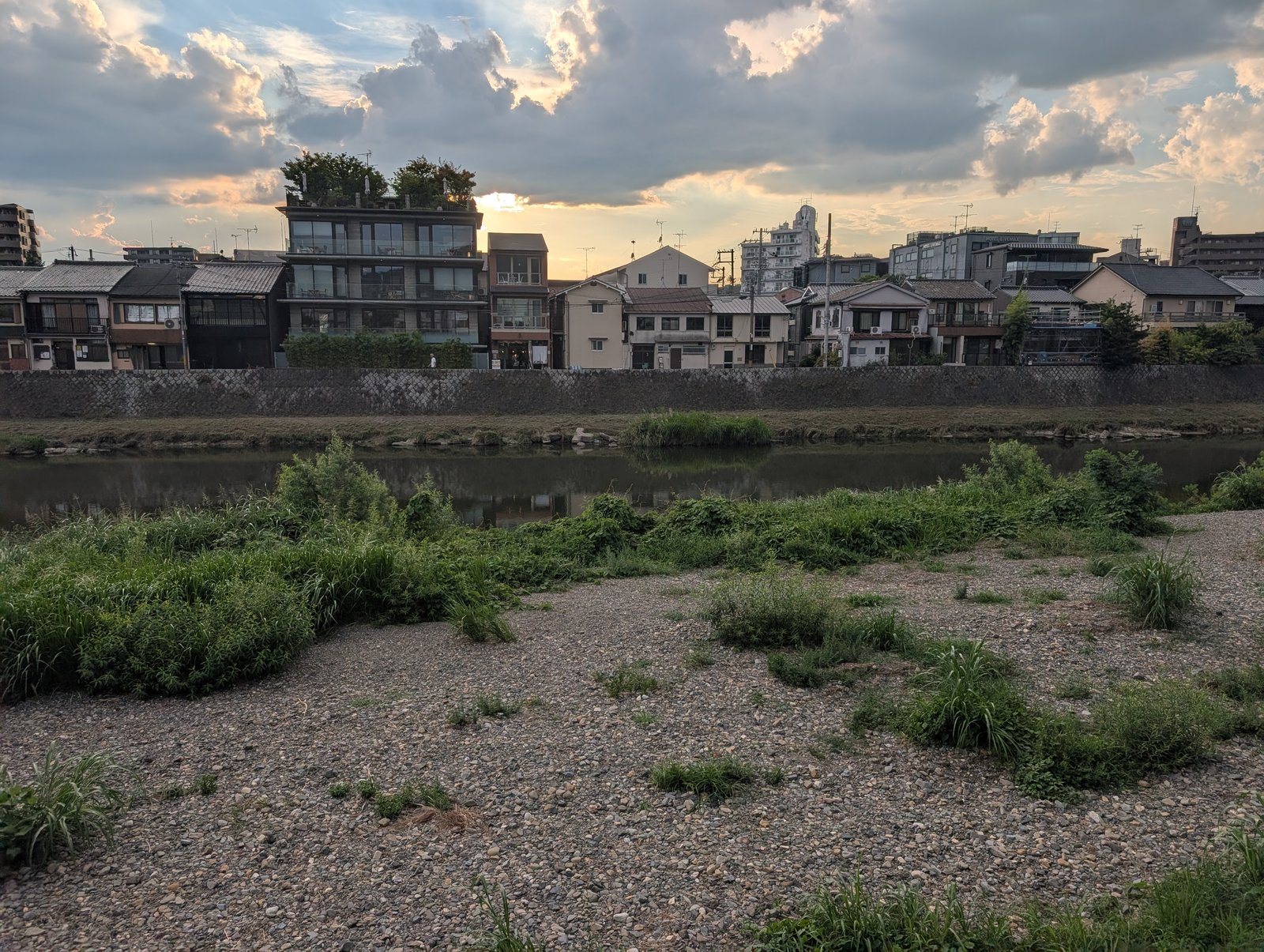 砂利と草。対岸は住宅街
