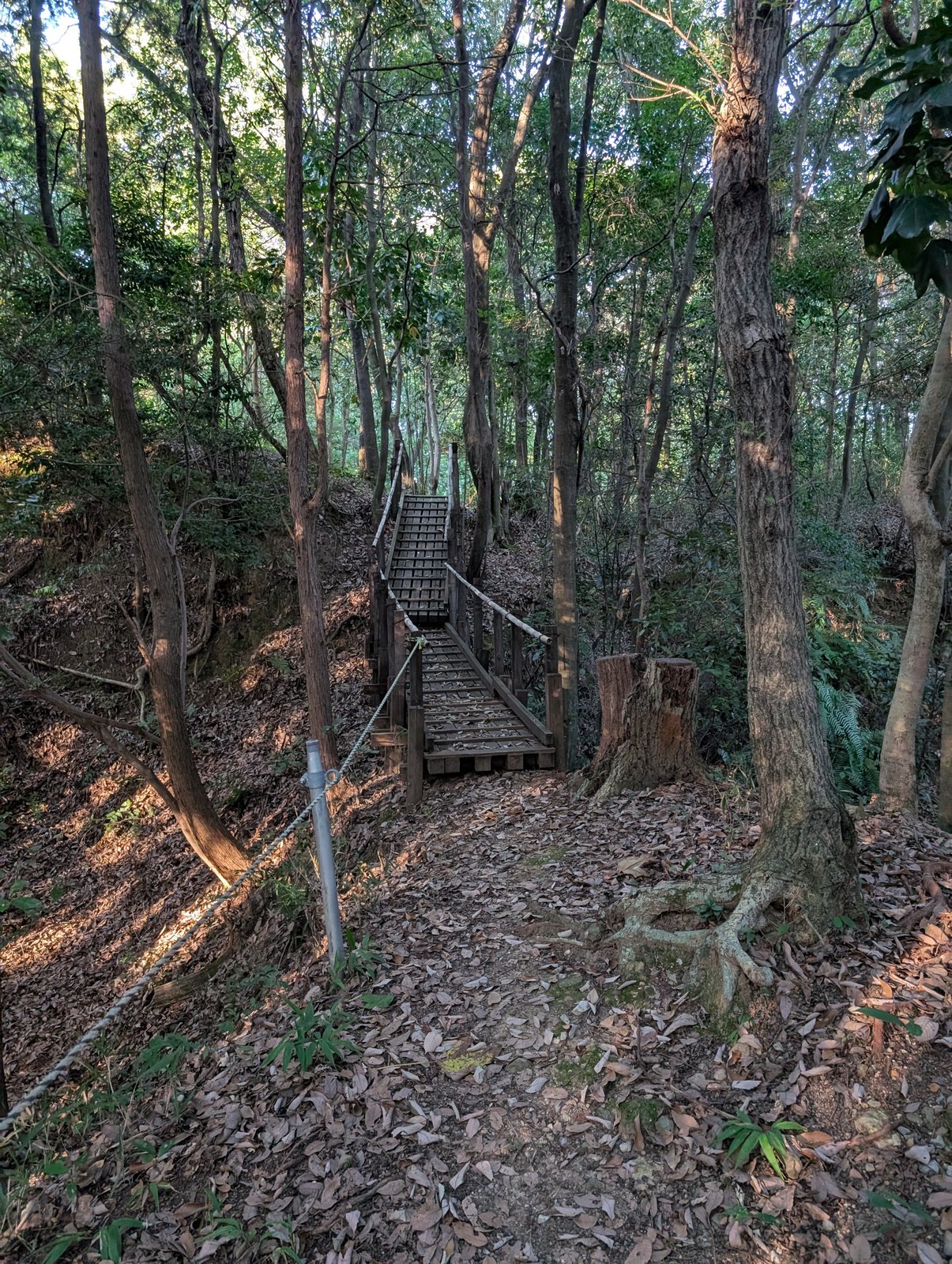 尾根へ上がる木の階段
