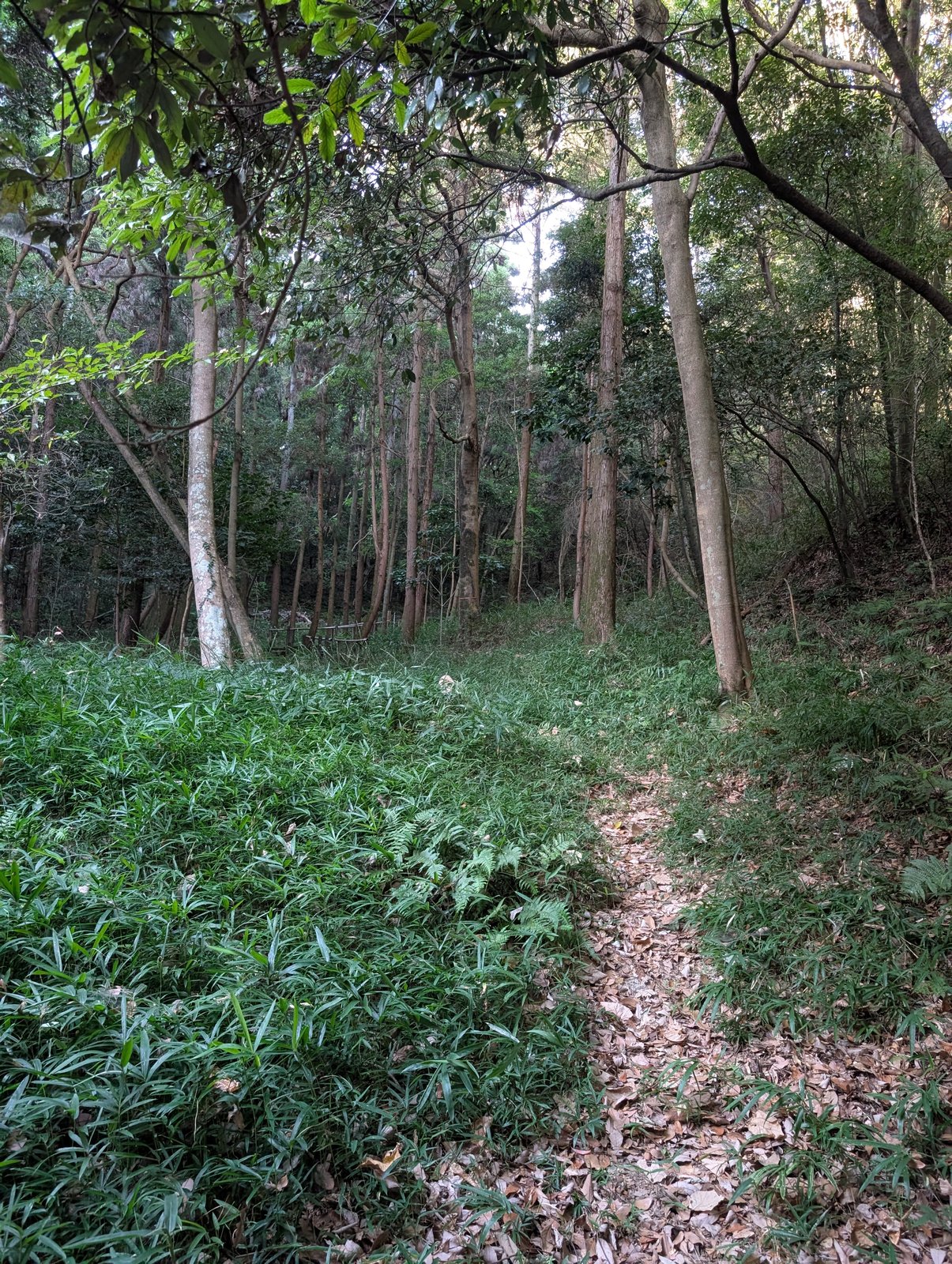 郭へ続く登城道