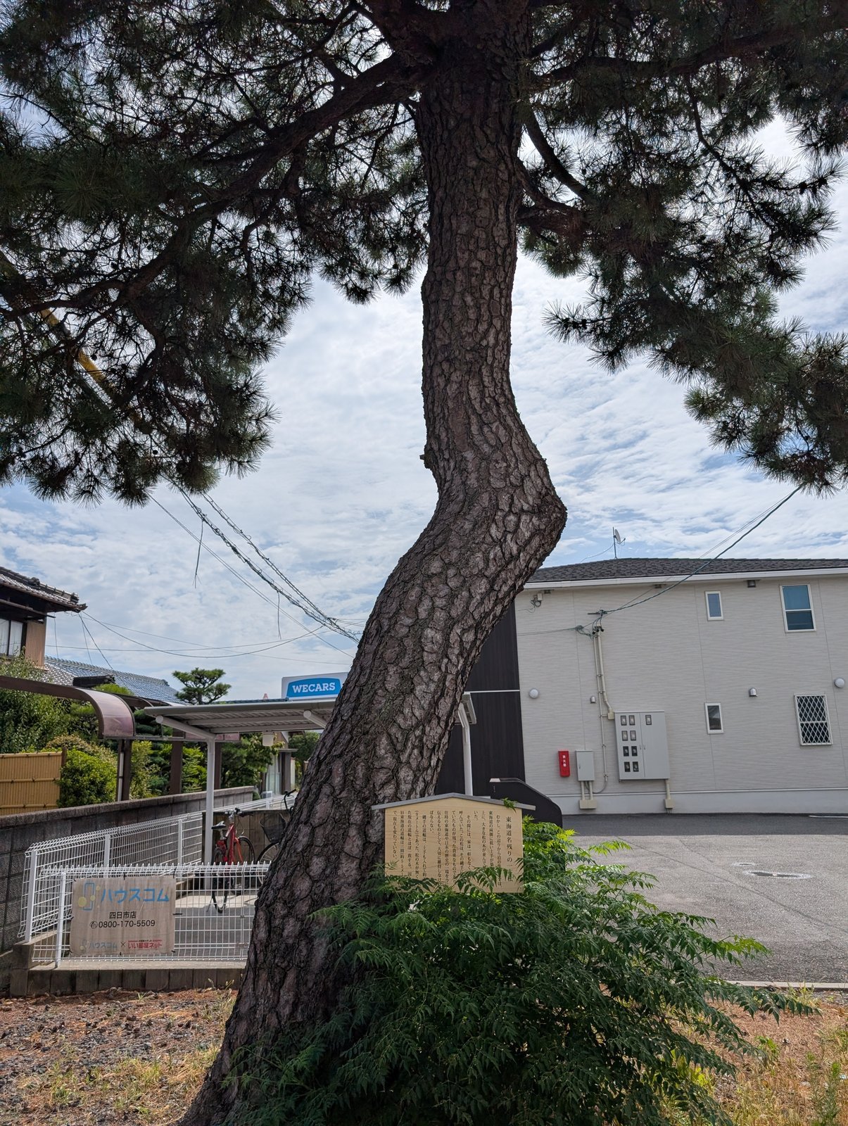 東海道名残りの一本松（日永の縄手跡）の写真