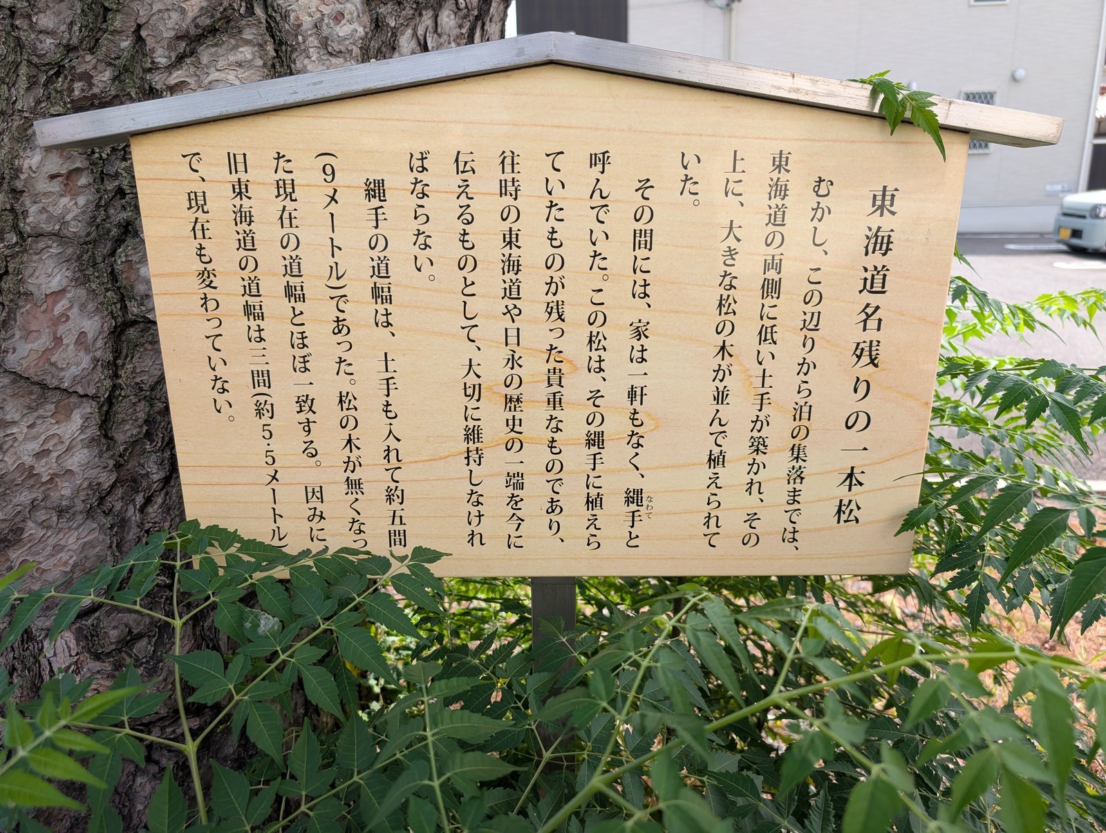 東海道名残りの一本松（日永の縄手跡）の写真