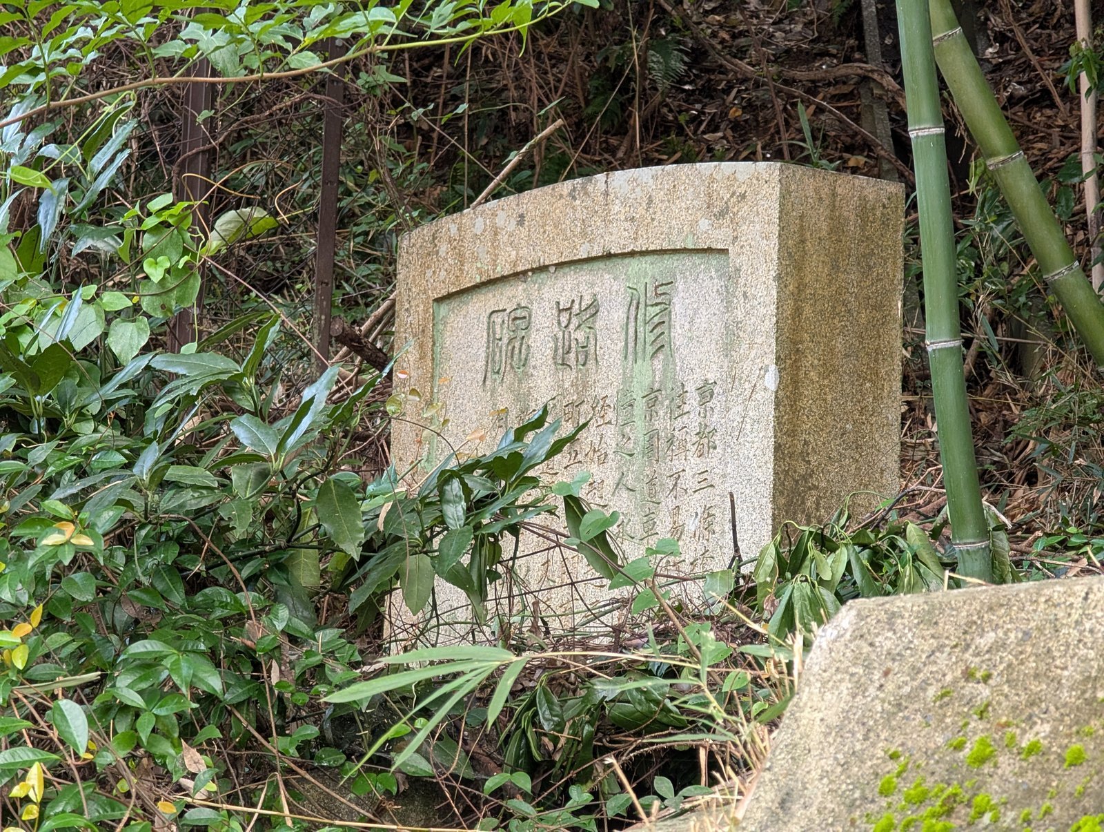 説明板のすぐ横、草に埋もれて立つ石碑