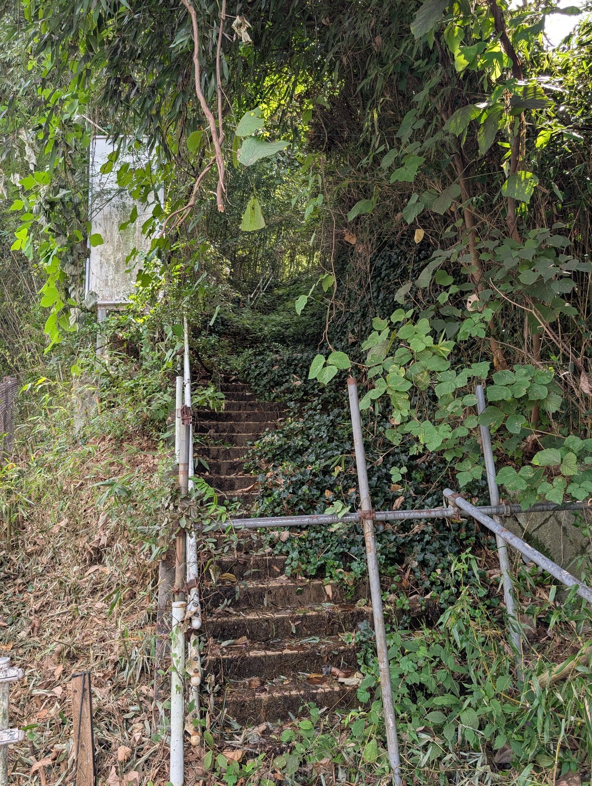 説明板の脇から山手へ上がる石段。柵で塞がれている