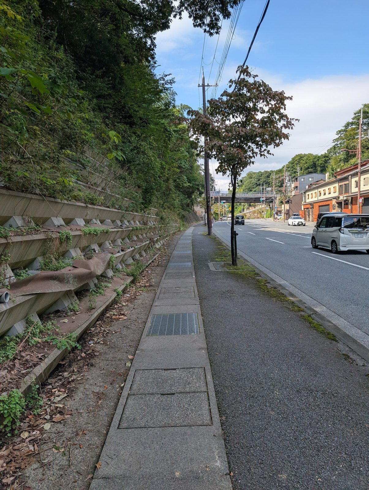 説明板の前の三条通。歩道は細く、車が絶えず通る