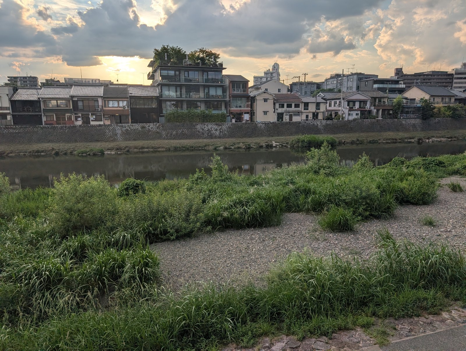 五条大橋と正面橋のあいだの鴨川の河原。草と砂利が広がる